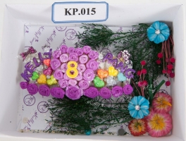 kp-015